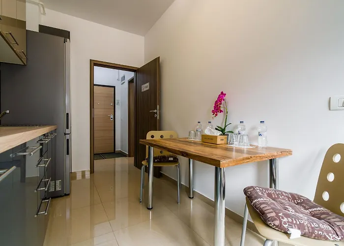Politehnica Deluxe Appartement *